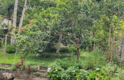 O Refúgio Perfeito - Photo 20