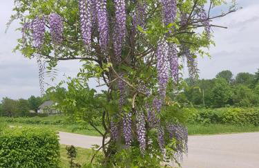 Apartments Sanja - Foto 61