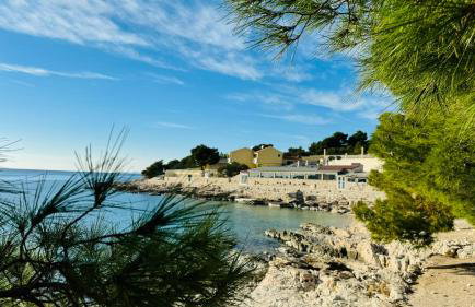 Apartman Kristina - Photo 57