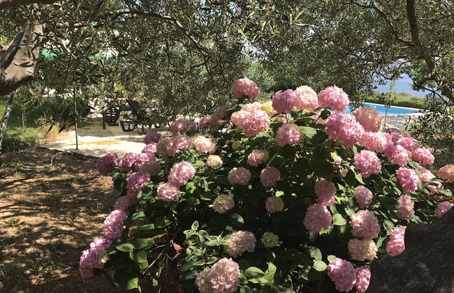 House With Pool in Split Near the Beach - Foto 31