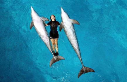 Prime Lux Albufeira - Foto 42