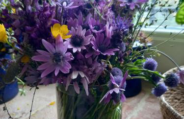 Villa in Agello - Photo 58