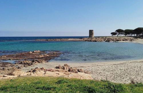 Posidonia Guest House La Caletta Sardegna - Foto 39