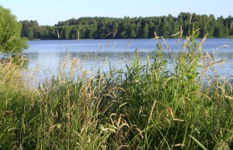 Sominy 17 - Dom w sercu kaszubskiej wsi - Foto 55