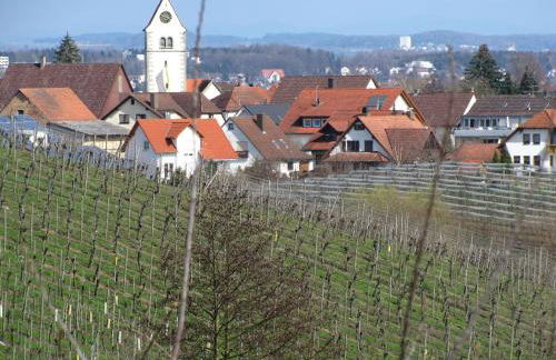 Obst- Ferienhof Ragg - Foto 10