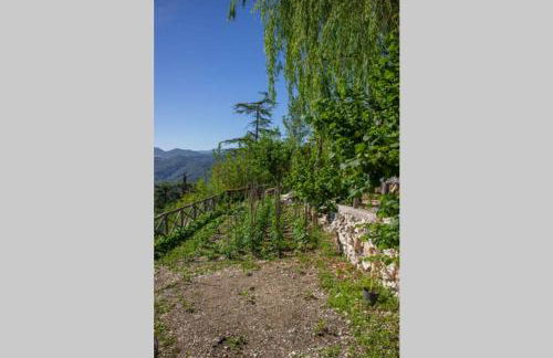 La Caprareccia - Foto 6