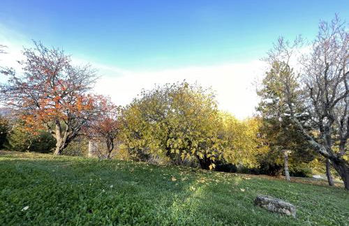 Mazzetti Country House-Vita in campagna con giardino - Foto 14