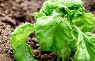 Agriturismo Il Raduno - Foto 124