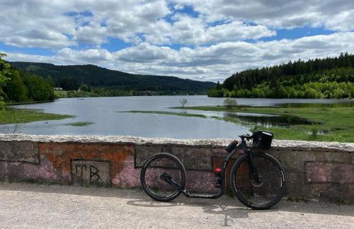Ferienwohnung Penthouse Feldberg - Photo 39