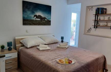 M&S Paradise Bilice, Šibenik - Foto 48