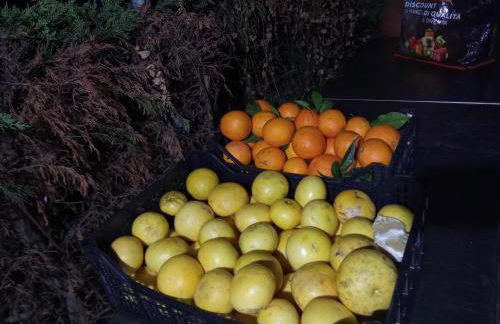 Agriturismo Cele - Foto 27