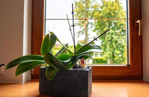 Eslarner Zoiglstum beim Strehern - Foto 6