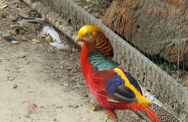Les P'tites Maisons dans la Prairie - Foto 77