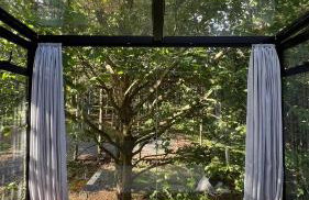 Cabanas Jardim de Tereza - Foto 71