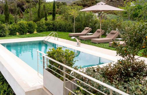 Suite Home Villas with Private Pools by Explore Andros - Foto 41