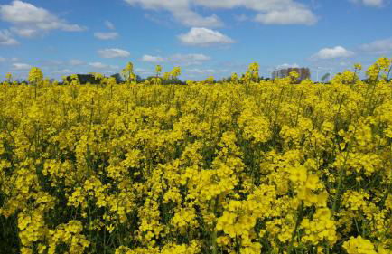 Ferienwohnung Kleine Auszeit Nr 4 - Foto 12
