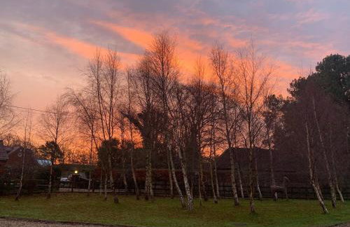 Cottage near Corfe & Jurassic Coast - Foto 15