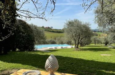 Podere Gattabigia - Foto 7