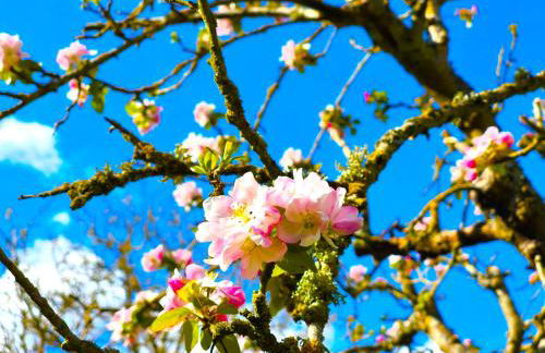 Appartement du Blanchet très agréable - Foto 20