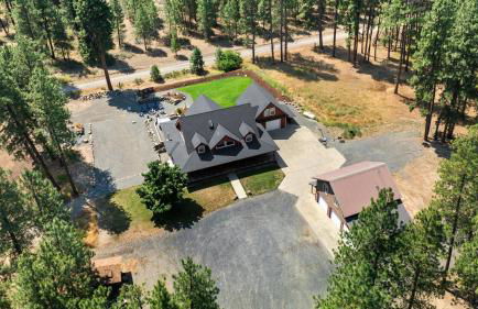 Forest Escape - Foto 40