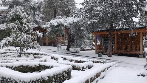 Jardín Las Secuoyas - Foto 3