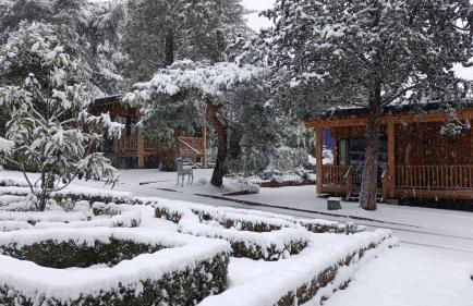 Jardín Las Secuoyas - Foto 3