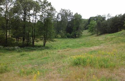 Zagroda z Antonówką - Foto 11