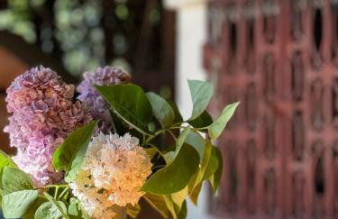 Dom w górach Saganówka Beskidy - Foto 77