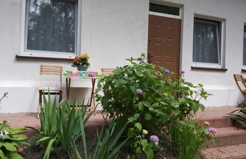 Leśne Zacisze Kretowiny 88 nad jeziorem Narie z własnymi pomostami apartamenty sezonowe lato - Foto 53