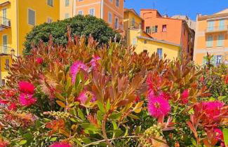 T4 Old Town Menton - Mer-Cœur de la Piétonne - Photo 28