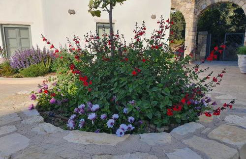 AnamneZia Luxury Suites - Foto 19