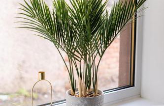 Coatbridge Apartment - Foto 27