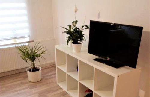 Ferienwohnung "Alte Druckerei" - Foto 11