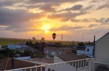 LE FLAMANT ROSE - Foto 20