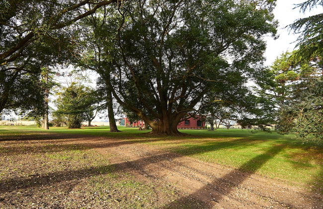 Hestia at San Antonio de Areco - Foto 47