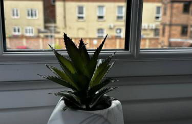 Grammar School Yard Four Bedroom Free Parking - Foto 21