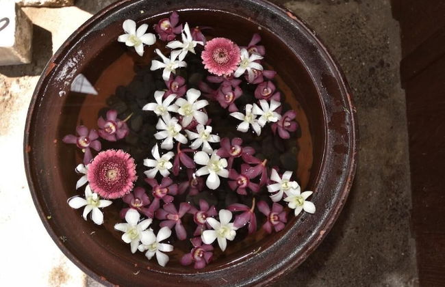 Kohaku AMBER Kamakura Zaimokuza - Foto 14