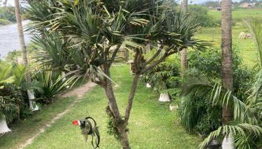 Casa de Sítio - Foto 3