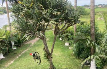 Casa de Sítio - Foto 3