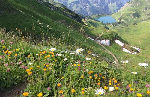 Haus Sonnenruh - Foto 31