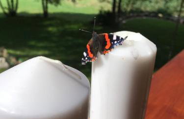 DOMEK POD DĘBEM - Foto 34