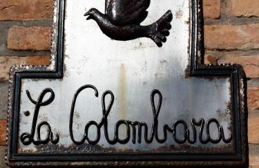 La Colombara - Fra i colli a 5 minuti dall'autodromo - Foto 14