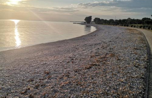 Olive Garden 2 - Foto 21