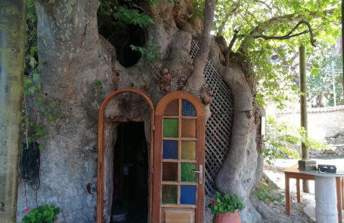 Plataniotissa Mansion - Foto 32