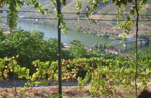 Quinta da Galeira - Foto 57