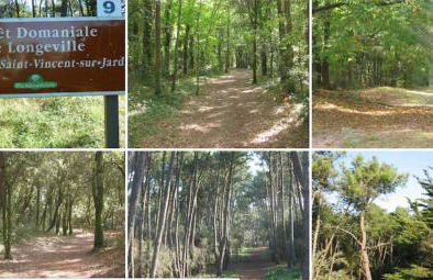 Les Terrasses de Bella Vista - Belle maison bord de mer - Foto 24