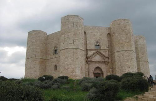 Patanella Wine - Foto 23