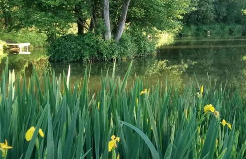 Luxury Barn near Soho Farmhouse - Foto 45