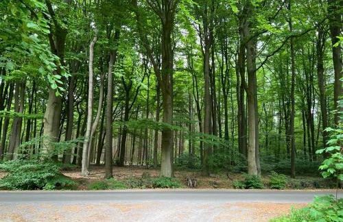 Ferienwohnung am Wald - Foto 7