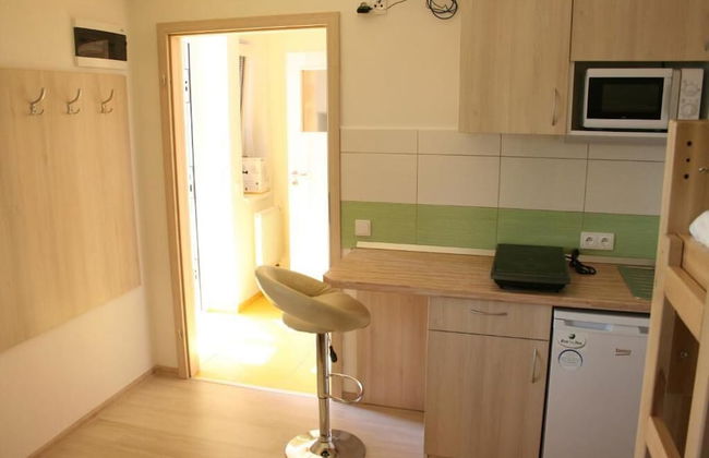 PENZION POD PALAVU - Photo 11